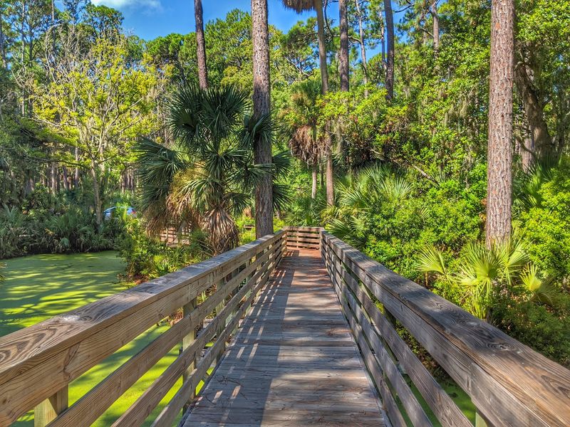 Wildlife, Marsh Views, and Pier Time
