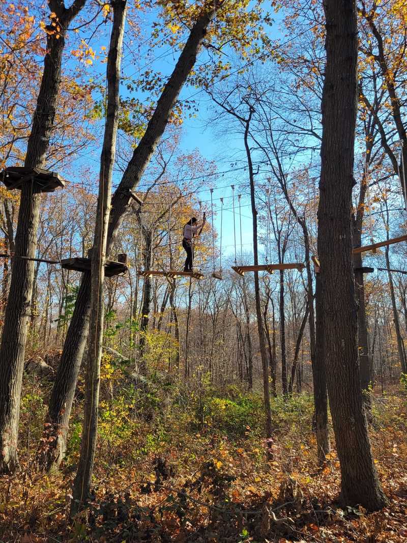 Ropes Courses That Build Courage One Step At A Time