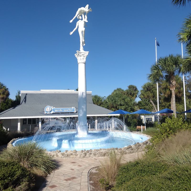 Why Weeki Wachee Still Feels Like Old Florida