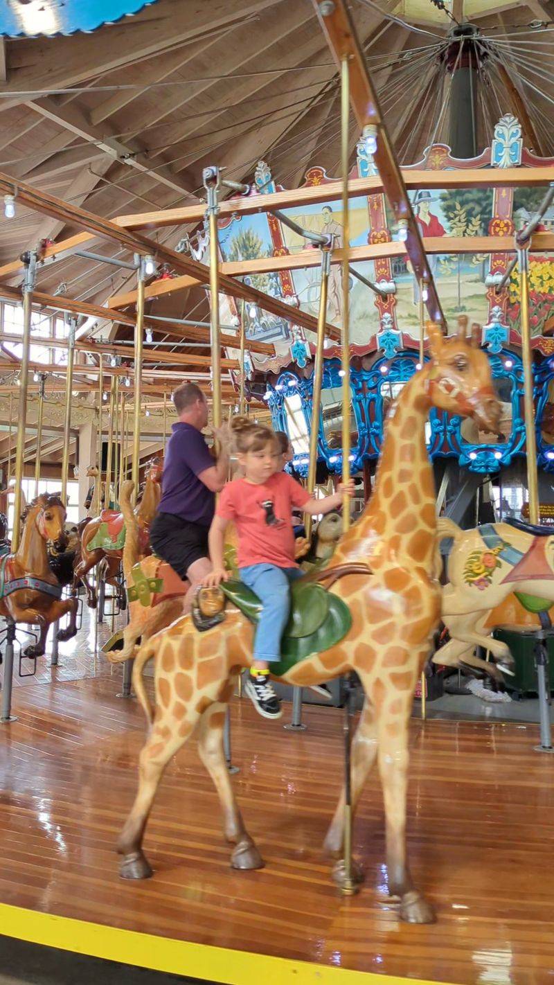 Let Kids Pick Their Favorite Animal