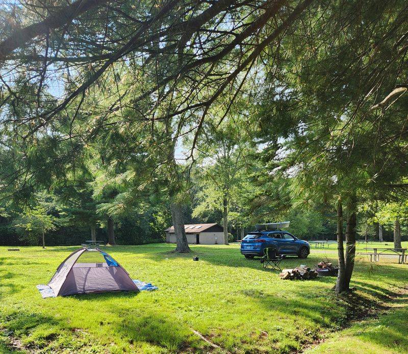 Stay Among the Trees at Wooded Campsites