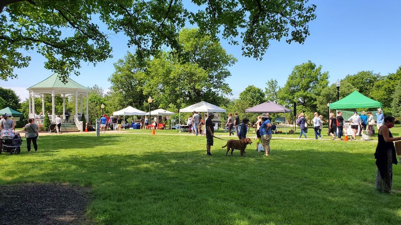Saturday Mornings at the Farmers Market