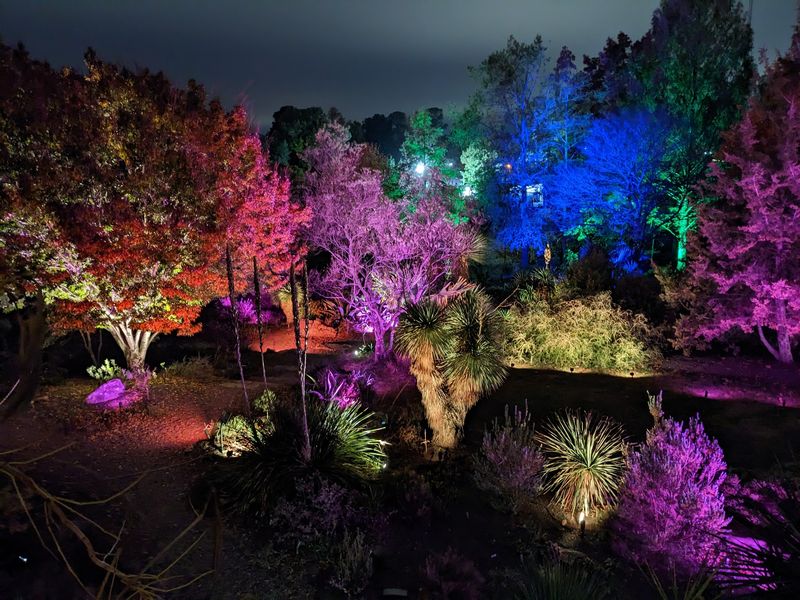 Plant Sales, Garden Events, and Educational Programs