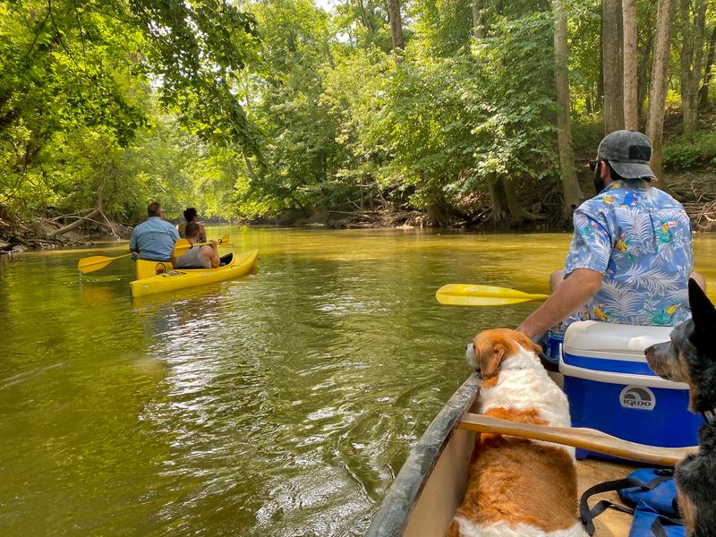 Pick Your Ride, From Lazy Tube to Trusty Kayak