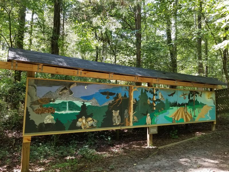 A Hidden Wildlife Escape Inside Latta Nature Preserve