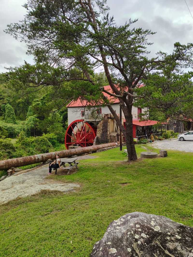 Beautiful Creekside Scenery Worth Slowing Down For