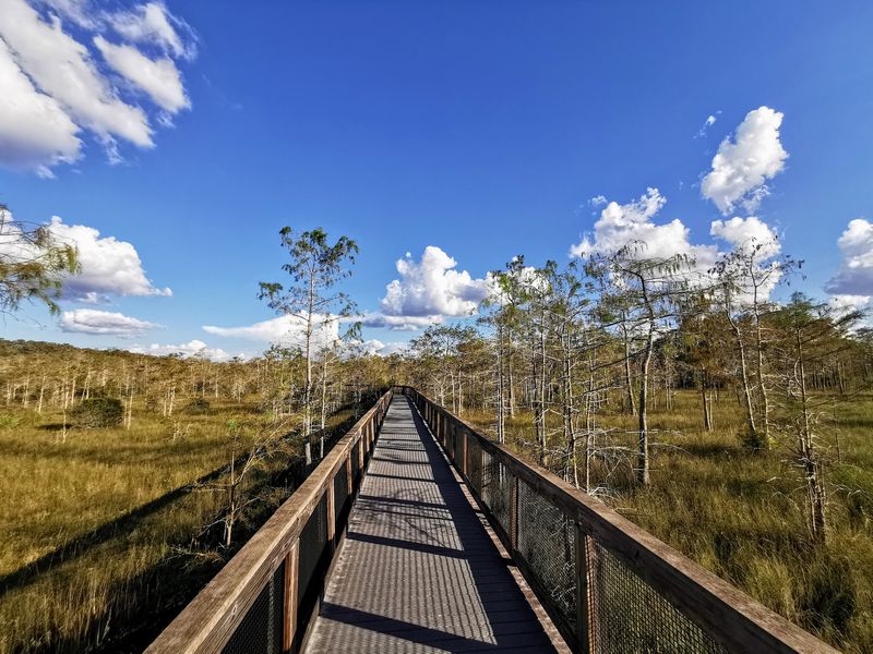 The Boardwalk Makes The Swamp Feel Friendly