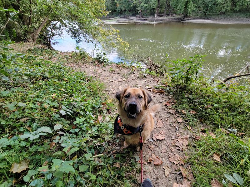 Stepping Stones and a Swinging Bridge - REI River Trail, Scioto Grove Metro Park