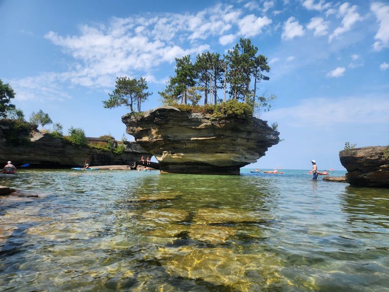Trees Standing On A Stone Crown