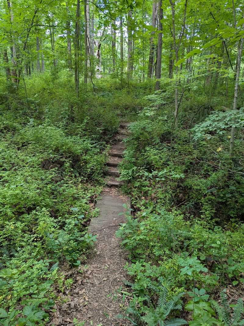 Rugged Rim Trails for Serious Explorers