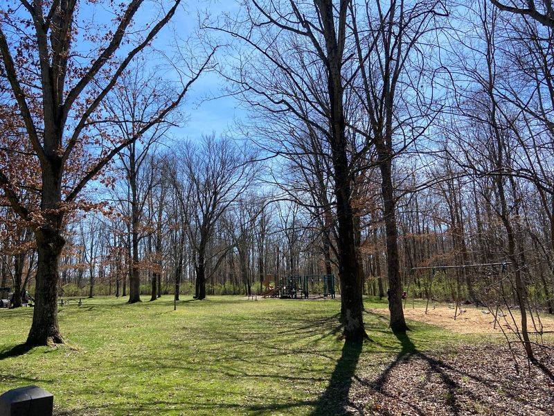 Tiny Loop, Big Forest Feeling - Shagbark Trail, Slate Run Metro Park