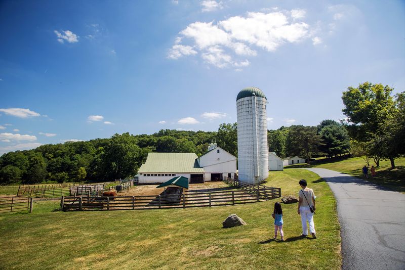Rolling Hills And Farm Country At Malabar