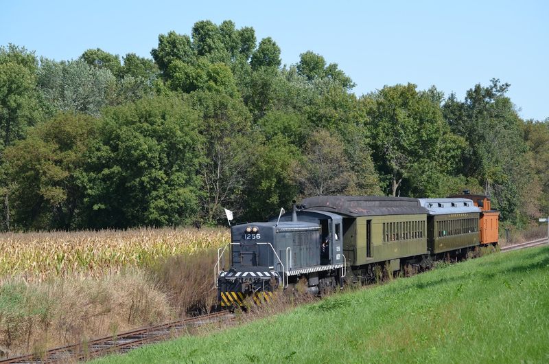 Special Rides That Turn A Visit Into A Tradition
