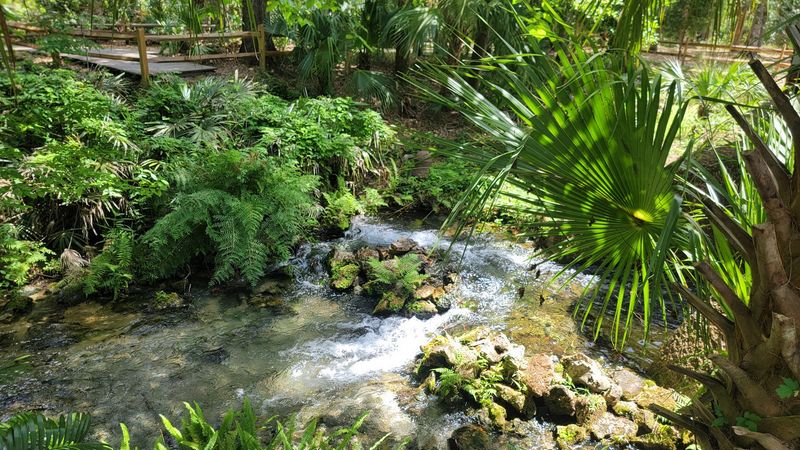 Clear Water with a Constant Flow