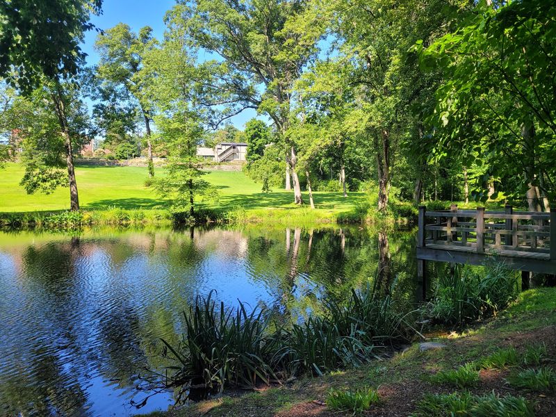 Olmsted-Influenced Gardens That Reward Slow Walking