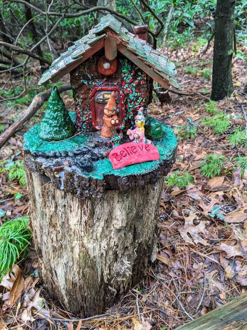 Fairy Doors That Make Trees Feel Alive