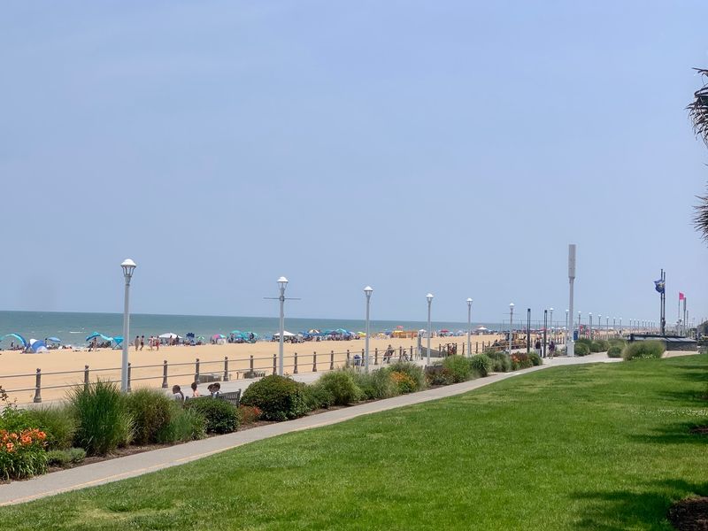 A Boardwalk Built for Wandering