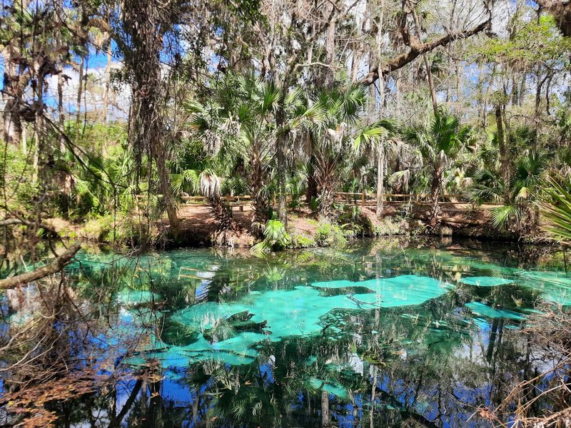 A Spring That Feels Like the Tropics