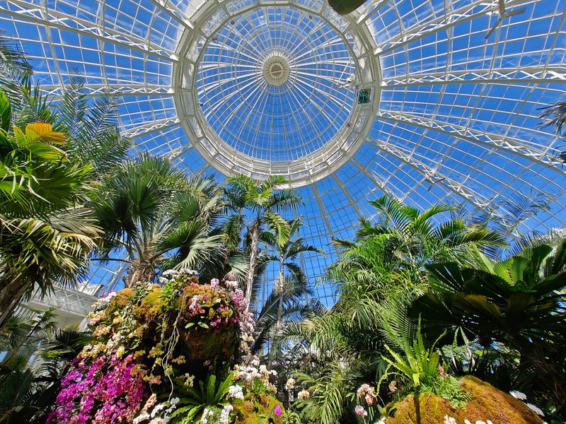 Tropical Rooms That Feel Like a Mini Rainforest