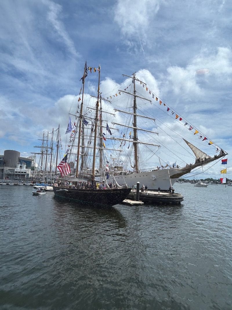 Harbor Views That Keep Cameras Busy