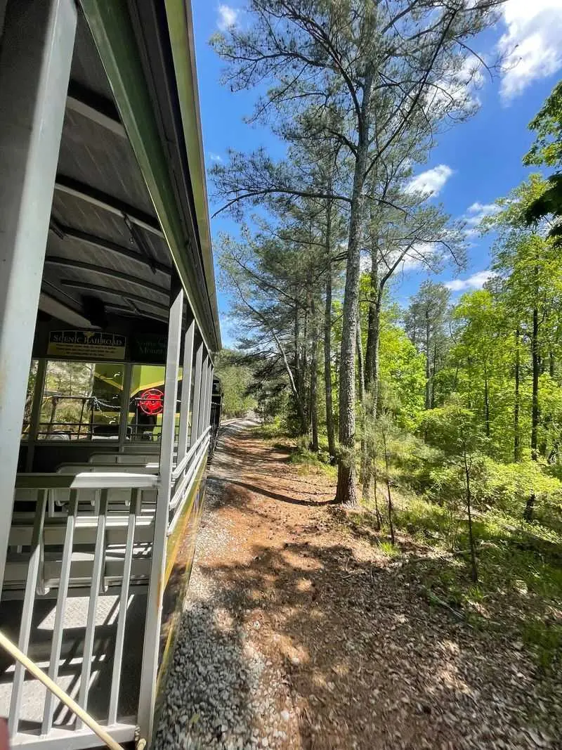 Creeks and Woods From an Easy Seat