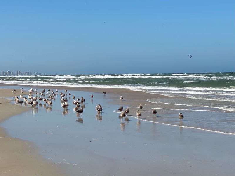 Near the jetty, the water means business - Ponce Inlet Beach