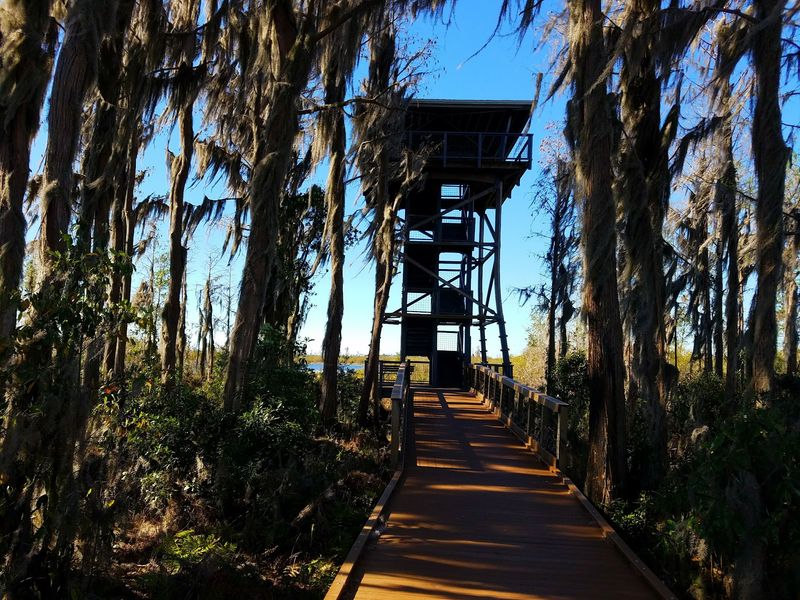 Owl’s Roost Observation Tower - Folkston