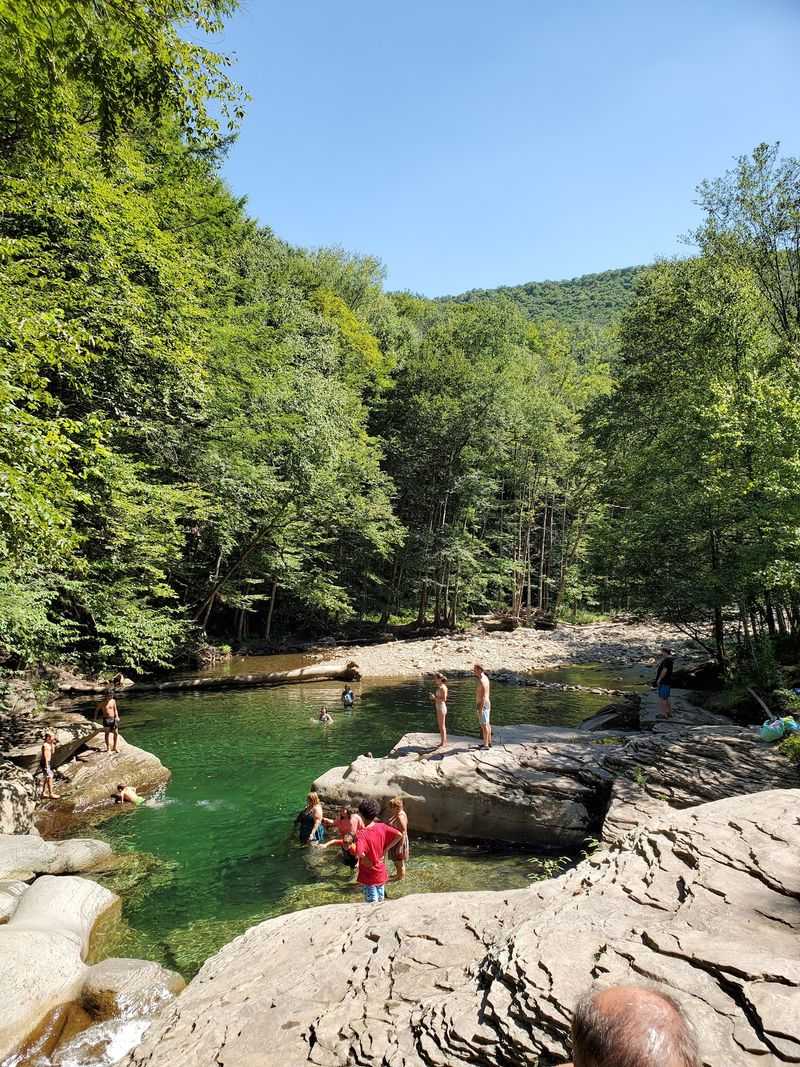 Enjoy a Forested Pennsylvania Escape