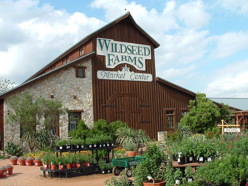 Wildseed Farms, Fredericksburg, Gillespie County