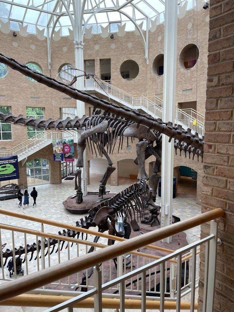 Georgia Museum of Natural History - Athens, Clarke County