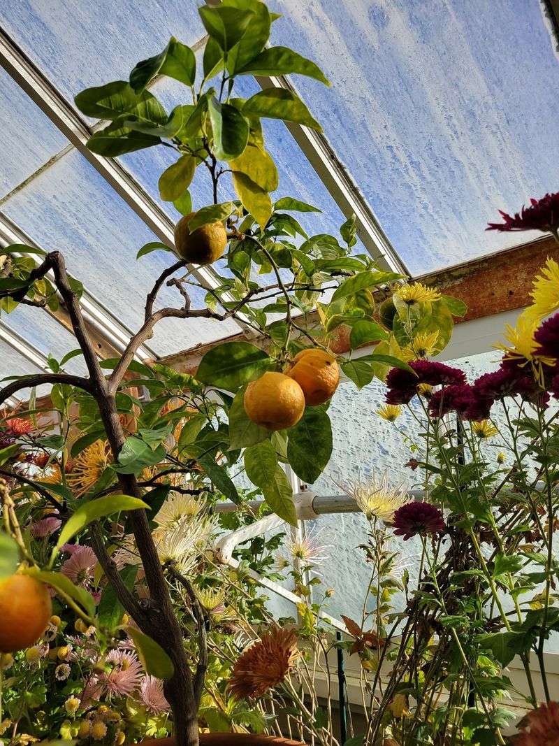 Botanic Garden of Smith College - Northampton, Hampshire County