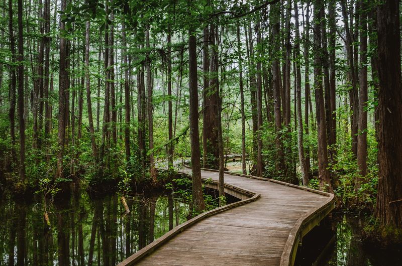 Birdwatching Turns Your Stroll Into a Treasure Hunt