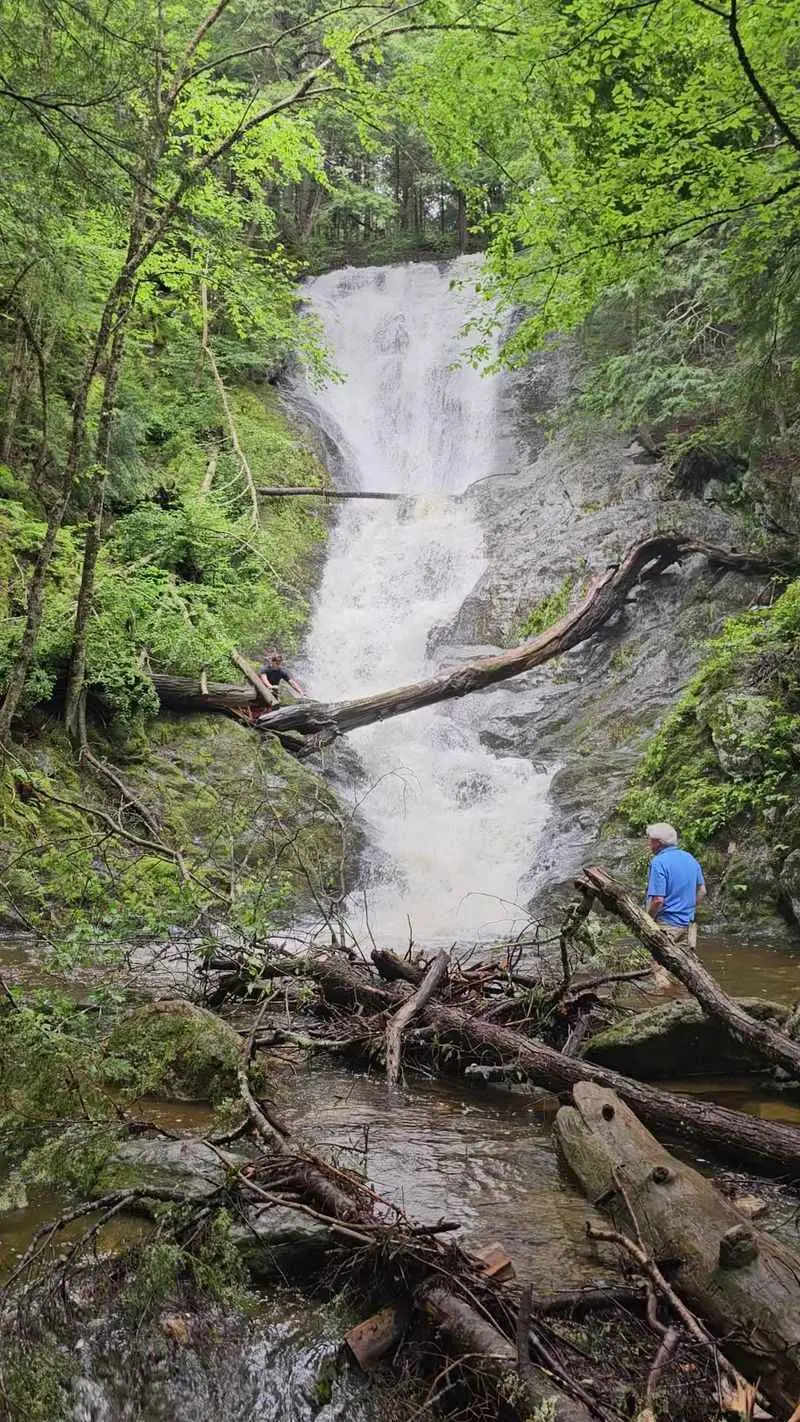 Tannery Falls - Savoy