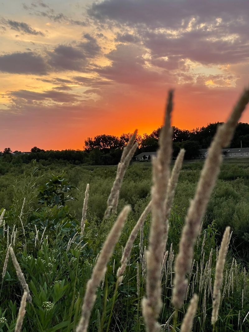 Cedar Falls, Black Hawk County,