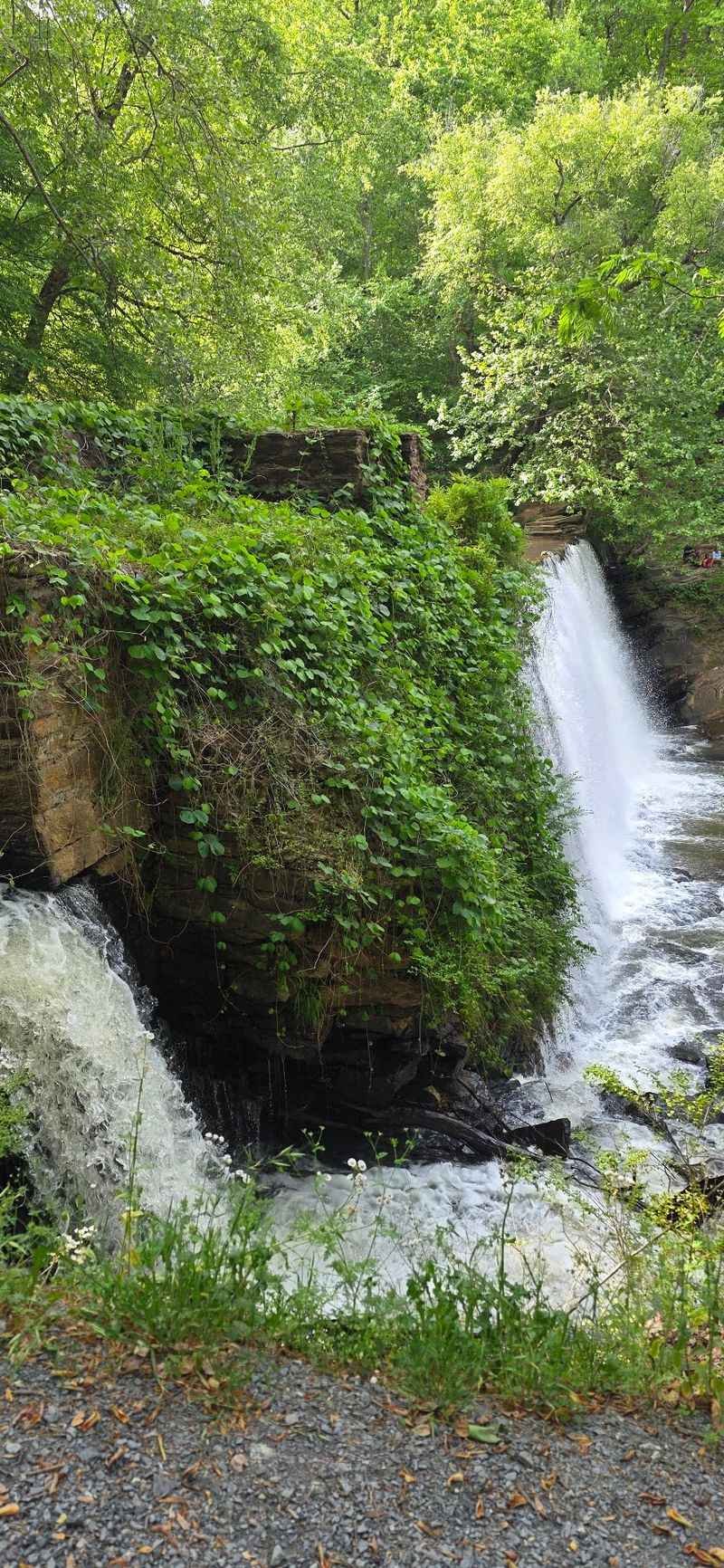 Vickery Creek Waterfall, Roswell