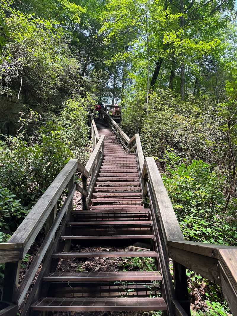 Tallulah Gorge Rim Trails - Tallulah Gorge State Park