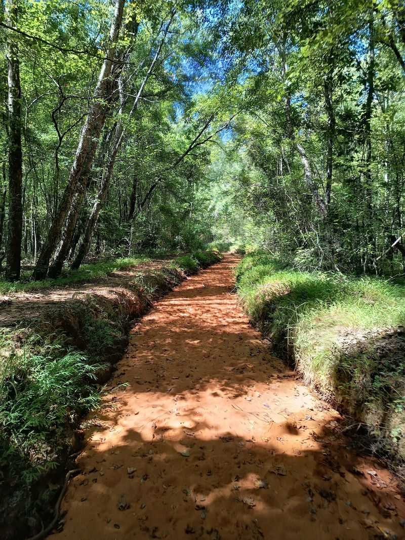 Providence Canyon State Park - Lumpkin
