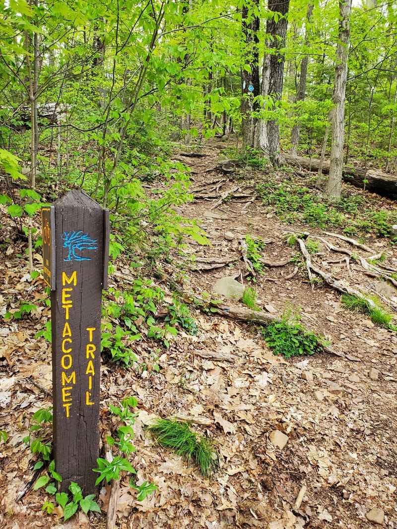 Rock, Sky, and a Better View - Metacomet Trail