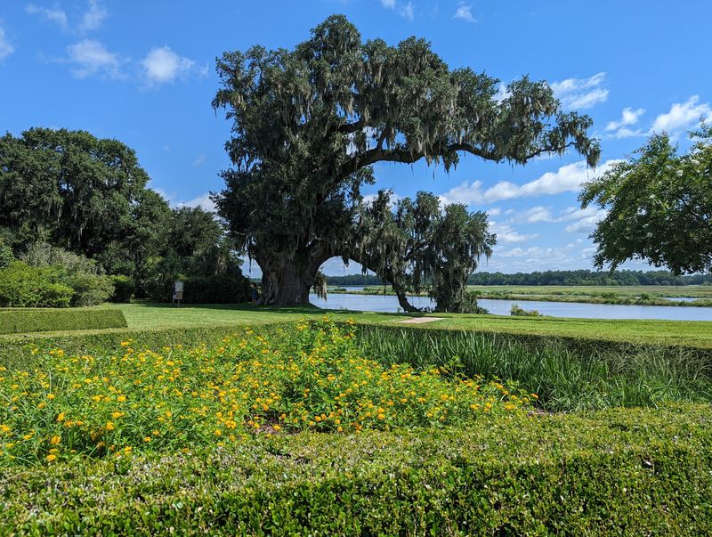 Middleton Place, Charleston, Charleston County