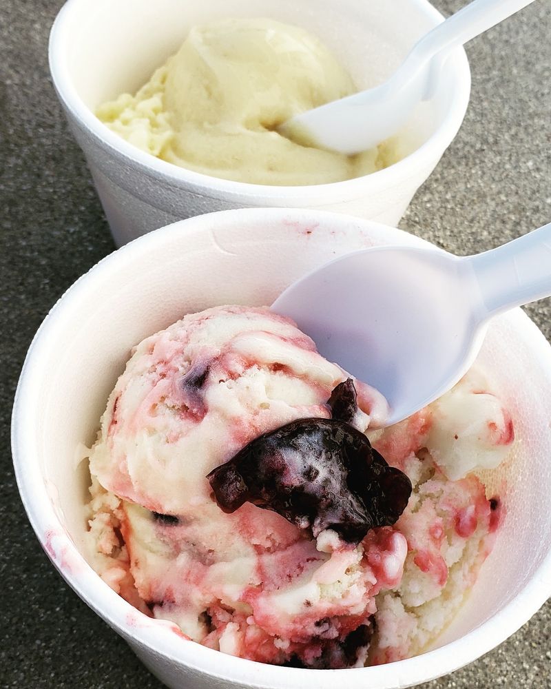 Ice Cream at Sunni Sky's Homemade Ice Cream - Angier