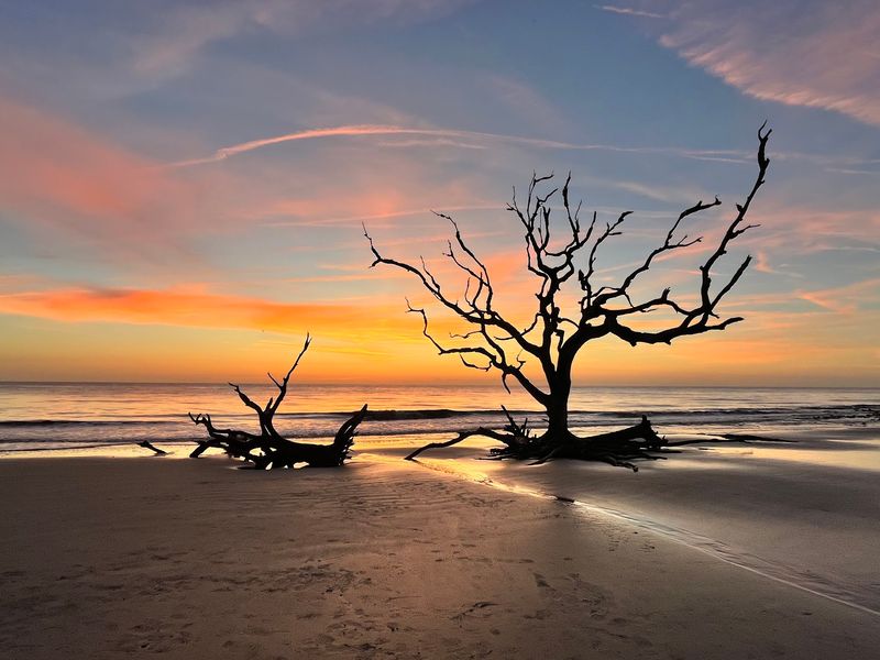 Jekyll Island Beach Village and Driftwood Beach, Jekyll Island, Glynn County