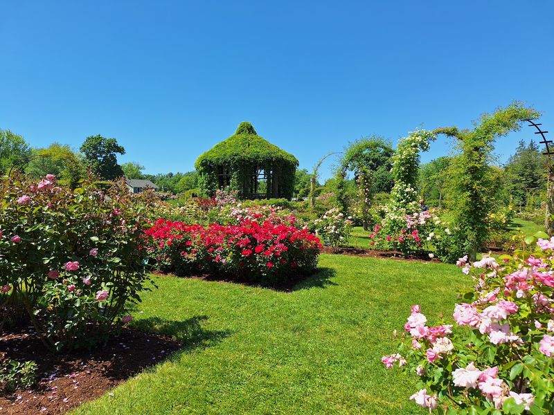 A Public Garden That Feels Truly Open