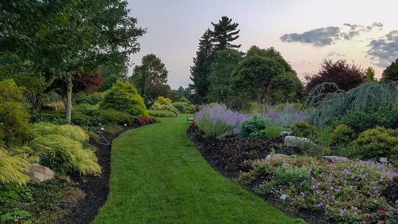 Alexandra Botanic Garden - Wellesley, Norfolk County