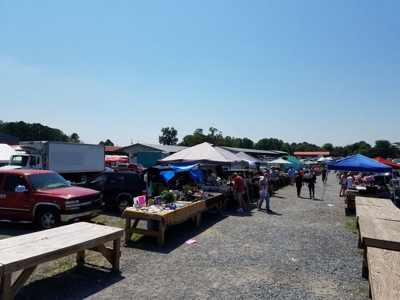 Visitor Info: What to Know Before You Go