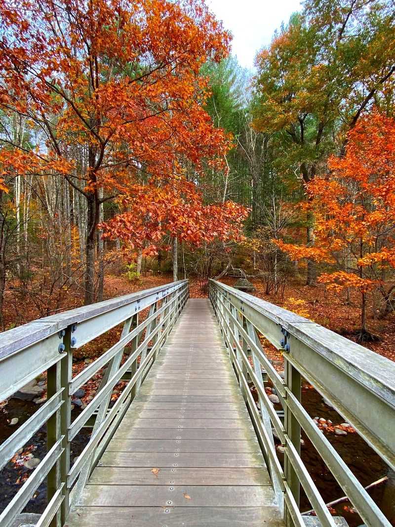 Four-Season Beauty That Keeps Changing