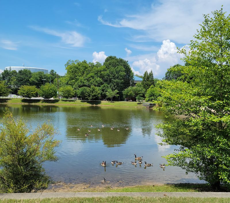 Chattahoochee Riverwalk - Gainesville
