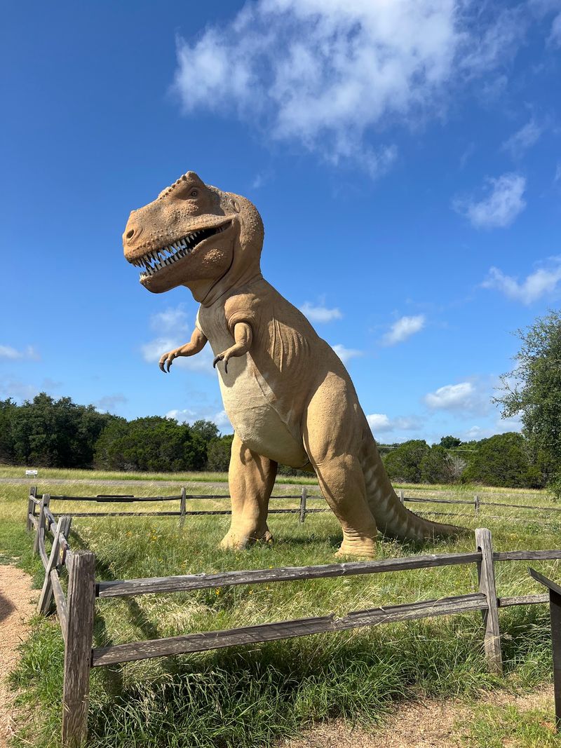 Fort Worth to Dinosaur Valley State Park
