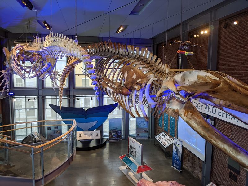 New Bedford Whaling Museum Craft Demonstrations - New Bedford