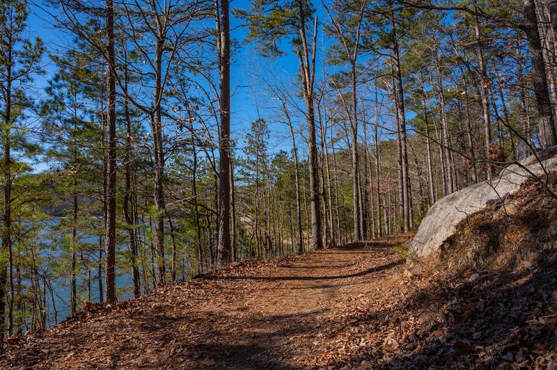 Iron Hill Trail - Cartersville