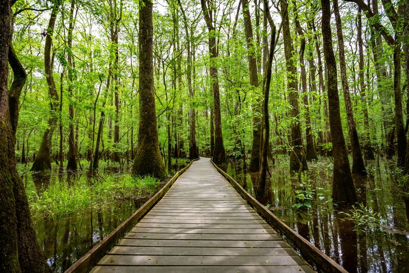 Congaree National Park, Hopkins